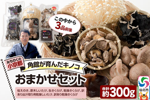 みちのくの小京都・角館が育んだ「おまかせセット」(桜えのき、原木しいたけ、生きくらげ、乾燥きくらげ、訳あり出汁取り用乾燥しいたけ、訳あり乾燥きくらげ)合計約300g(3品前後)