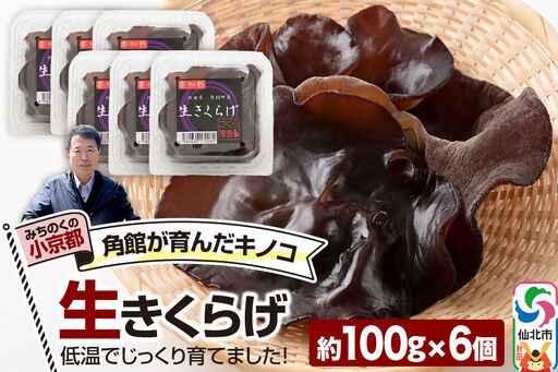 みちのくの小京都・角館が育んだ「生きくらげ」約100g×6個