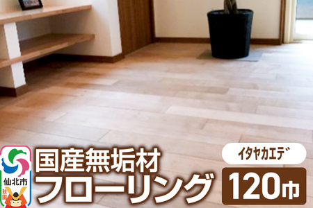 国産 無垢 フローリング 120巾 素材:板谷楓(イタヤカエデ)