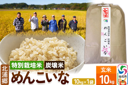 【特別栽培米 炭壌米 めんこいな】令和4年産 玄米 10kg