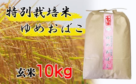 【特別栽培米 炭壌米 ゆめおばこ】令和4年産 玄米 10kg