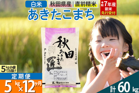 【白米】＜令和7年産 新米予約＞ 《定期便12ヶ月》秋田県産 あきたこまち 5kg (5kg×1袋)×12回 5キロ お米  新米