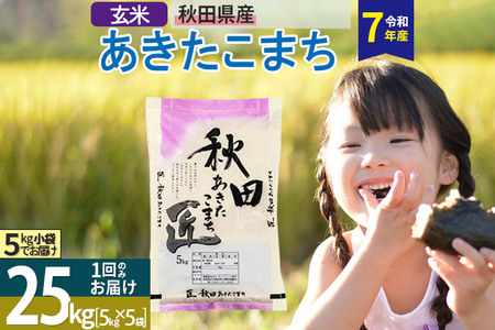 yāzߘa7NY HcY ܂ 25kg (5kg×5) 25L  