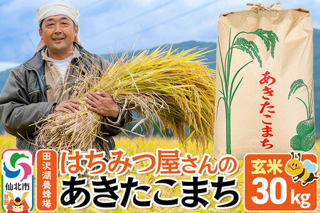 先行予約※10月中旬頃〜発送【玄米】令和6年産 新米 先行受付 秋田県産 あきたこまち 30kg 30キロ お米 仙北市