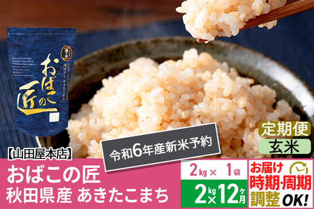 ふるさと納税「お米 定期便 12回 2kg」の人気返礼品・お礼品比較