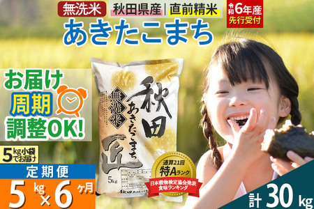 【無洗米】＜令和6年産 予約＞《定期便6ヶ月》秋田県産 あきたこまち 5kg (5kg×1袋) ×6回 5キロ お米【お届け周期調整 隔月お届けも可】