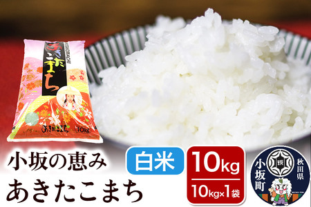 ����̌b�� ���������܂� 10kg�i10kg×1�܁j�y���āz���� ���������܂� �H�c�� ���⒬