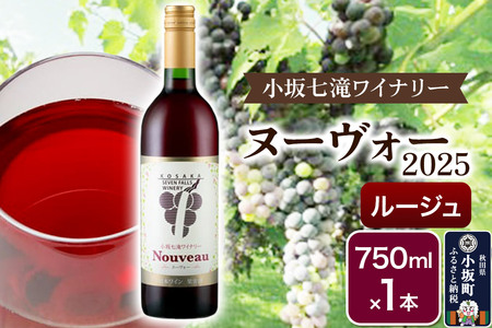 ワイン 小坂七滝ワイナリー ヌーヴォー2025 ルージュ750ml×1本