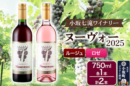 ワイン 小坂七滝ワイナリー ヌーヴォー2025 2本セット (ルージュ・ロゼ 750ml×各1本)