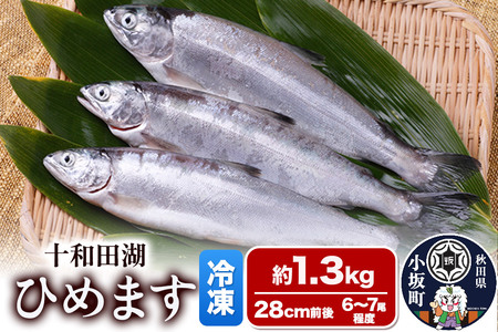 [冷凍]十和田湖ひめます 約1.3kg(28cm前後 6〜7尾程度)魚 刺身 塩焼き