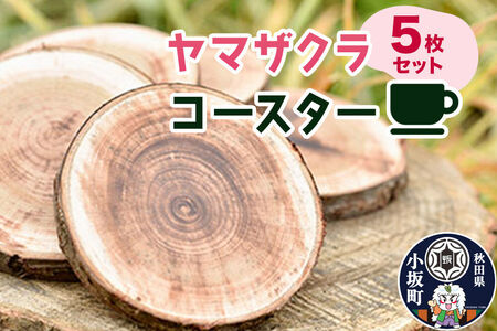 ヤマザクラコースター(樹皮付き) 5枚セット[クロネコゆうパケット]
