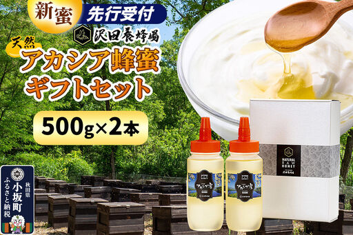 《先行受付》【新蜜】はちみつ 天然十和田 アカシア蜂蜜 ギフトセット 500g 2本セット