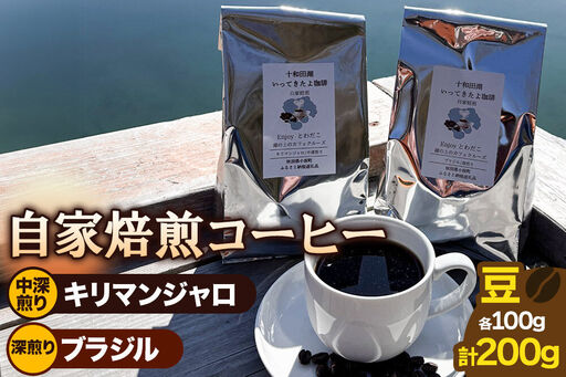 自家焙煎コーヒー キリマンジャロ (AAキボ)/中深煎り&ブラジル(カンジュク)/深煎り 豆100g 計200g