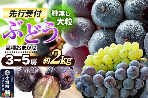 [先行受付]小坂産 ぶどう 種無し大粒・品種おまかせ 3〜5房 セット(約2kg)