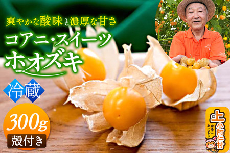 s①tRAjEXC[czIYL 300gi150g×2pbNj kt Hp ق S[fx[ X[p[t[h イ낤_