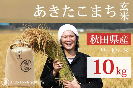 秋田県産 あきたこまち 10kg(10kg×1袋) 【玄米】令和4年産