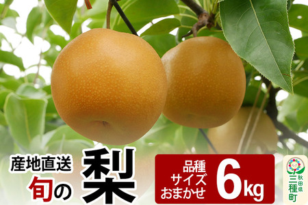 [先行受付]今が旬! 梨 6kg [品種、サイズおまかせ] 産地直送 和梨