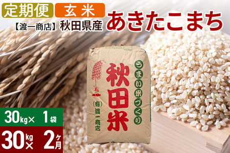 《定期便2ヶ月》 あきたこまち 玄米 30kg（30kg×1袋） 秋田県産 令和4年産