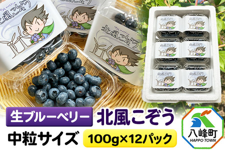 【2025年収穫先行受付】生ブルーベリー(中粒)「北風こぞう」 100g×12パック