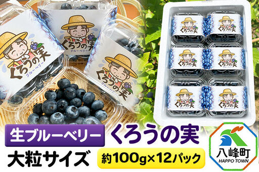 【2026年収穫先行受付】生ブルーベリー(大粒)「くろうの実」 約100g×12パック