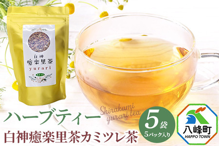 n[ueB _yJ~ci5pbNj×5 J~[eB[ Hc 