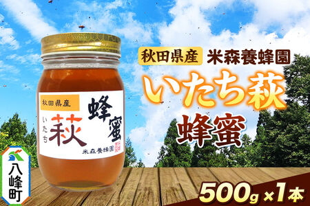はちみつ いたち萩蜂蜜 国産 500g×1本 秋田県産100% 秋田白神の天然蜂蜜 米森養蜂園 [はちみつ 天然 いたち萩蜂蜜 500g1本 蜂蜜 国産 ハチミツ ハニー 養蜂 白神山地 自然 まろやか]
