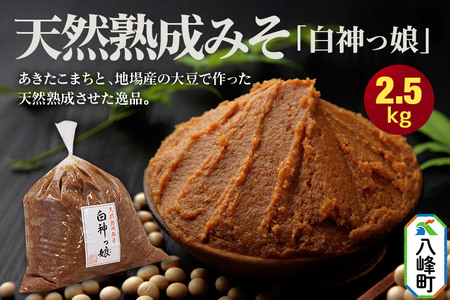 天然熟成みそ「白神っ娘」