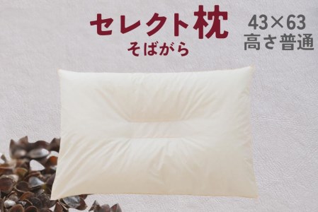 セレクト枕 そばがら 中央くぼみタイプ 普通 シングル