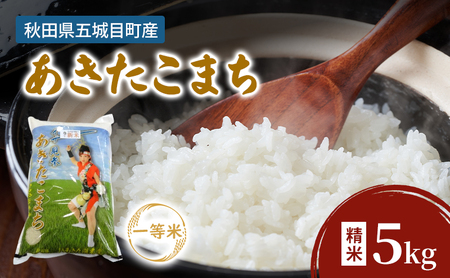 JAあきた湖東 五城目産 一等米 あきたこまち 5kg 精米 秋田県産 お米 ご飯 ライス rice[配達不可:沖縄・離島]