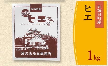 ܏ڒY qG Pkg G G HcY   CX