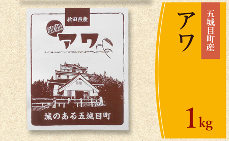 ܏ڒY A Pkg G G HcY   CX