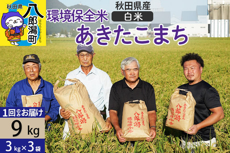 yāzߘa7NY HcY ܂ ۑS 9kg (3kg×3)