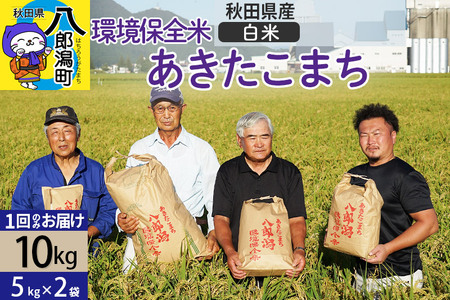 yāzߘa7NY HcY ܂ ۑS 10kg (5kg×2)