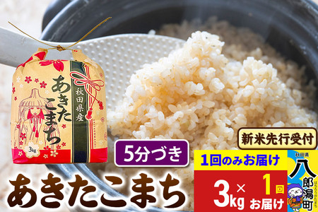 [令和7年産 新米受付]あきたこまち 3kg×1袋[5分づき]令和7年産 秋田県産 こまちライン