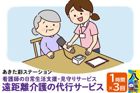 支援 看護師の日常生活支援・見守りサービス 遠距離介護の代行サービス 1時間 3回 レターパックライトでお届け 八郎潟