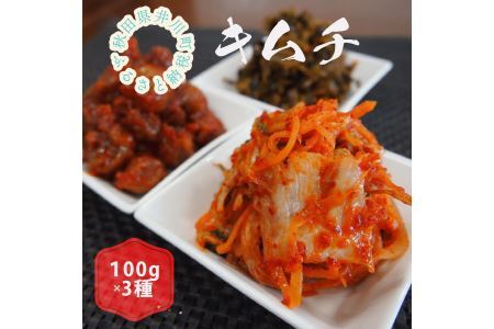[先行受付2025年12月発送]親がだのキムチ 100g×3種類(白菜、梅、高菜)