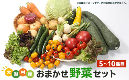 [数量限定]大潟村産おまかせ野菜セット[5〜10品目][配送不可地域:離島・沖縄県・九州]