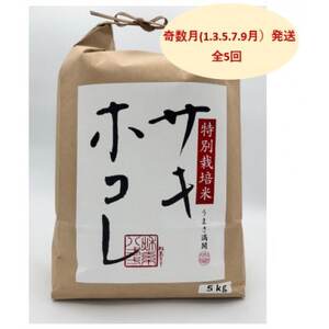 yŒցz@ʍ͔|ăTLzR5kgS5yzsnFEꌧzy4075608z