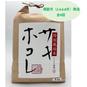 yŒցz ʍ͔|ăTLzR5kgS4yzsnFEꌧzy4075609z