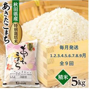 yŒցz@ʍ͔|Ă܂5kgS9yzsnFEꌧzy4075611z