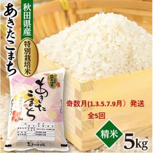 yŒցz@ʍ͔|Ă܂5kgS5yzsnFEꌧzy4075612z