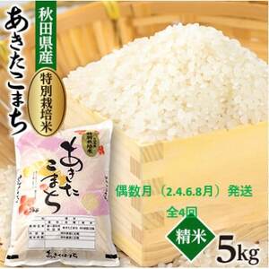 yŒցz@ʍ͔|Ă܂5kgS4yzsnFEꌧzy4075613z