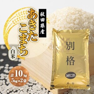 【毎月定期便】あきたこまち 白米 10kg(5kg×2袋)全6回【配送不可地域：離島・沖縄県】【4080808】