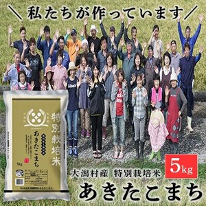 [令和7年産]特別栽培米 あきたこまち 5kg 精米◆秋田県大潟村[配送不可地域:離島・沖縄県]
