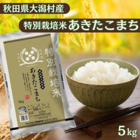 [毎月定期便]あきたこまち5kg(6か月分)秋田県産特別栽培米 大潟村のお米 精米 全6回[配送不可地域:離島・沖縄県]