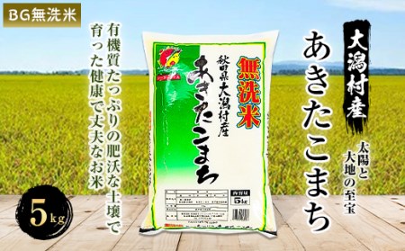 あきたこまち無洗米5kg[配送不可地域:離島・沖縄県]