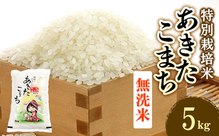 新米　令和6年産　特別栽培米あきたこまち　無洗米5kg【配送不可地域：離島・沖縄県】【1283154】