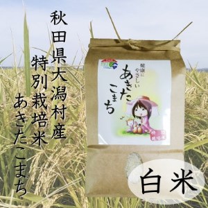 特別栽培米あきたこまち　白米2kg【1283155】
