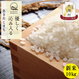 秋田県産　あきたこまち＜新米先行受付＞【令和6年産】無洗米10kg(5kg×2)10月中旬より発送【配送不可地域：離島・沖縄県】【1414477】