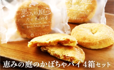b݂̒̂ڂpC4Zbgi4×4jy240001z